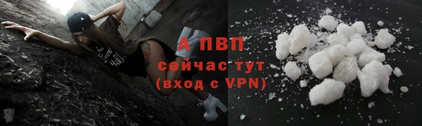 ешки Алексин
