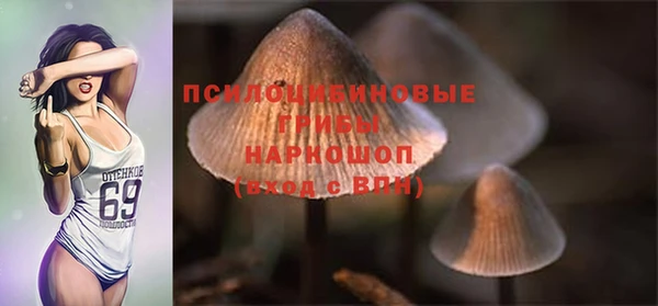 бошки Алзамай