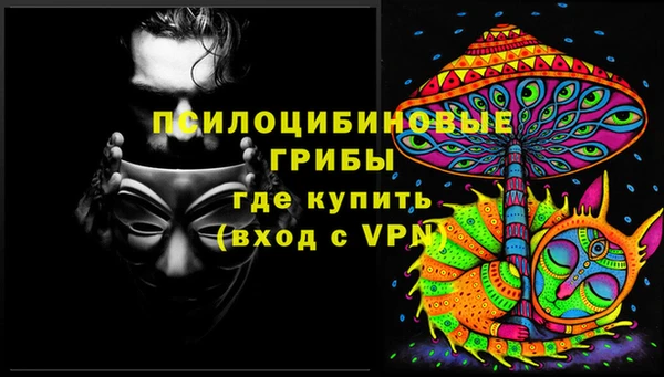 ешки Алексин
