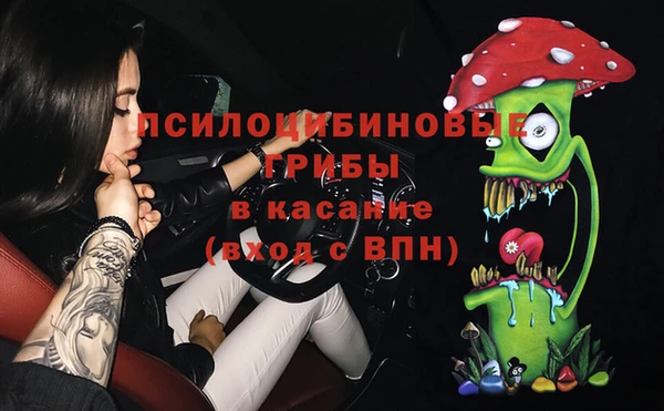 ешки Алексин