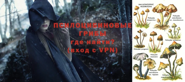 ешки Алексин