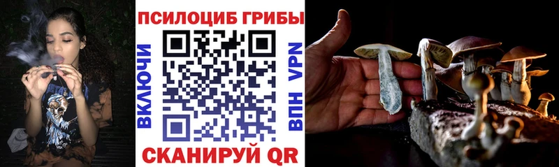 Купить где  Теберда  Галлюциногенные грибы ЛСД 